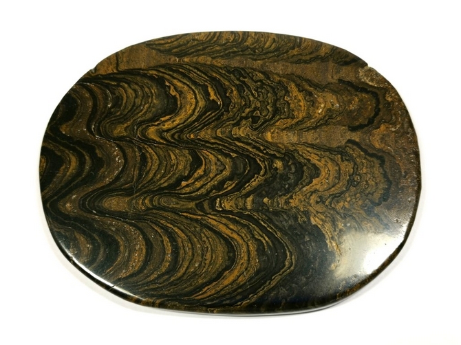 Stromatolite Polished Slice No3
