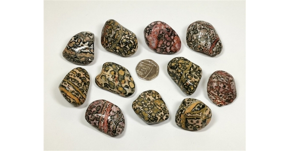 Rhyolite - Leopardskin, Tumble Stone