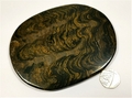 Stromatolite Polished Slice No3